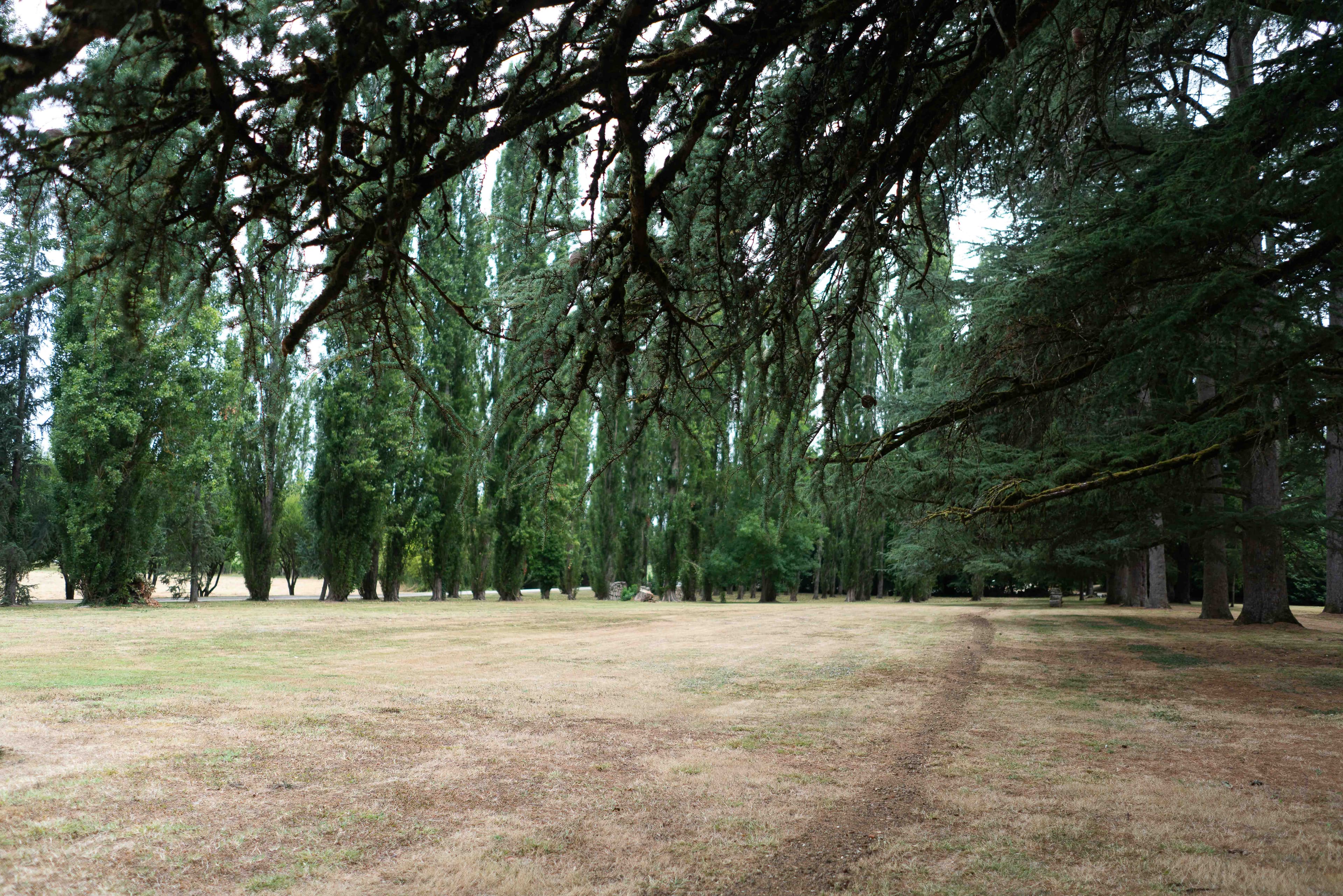 Gary & Micia wedding photo 13