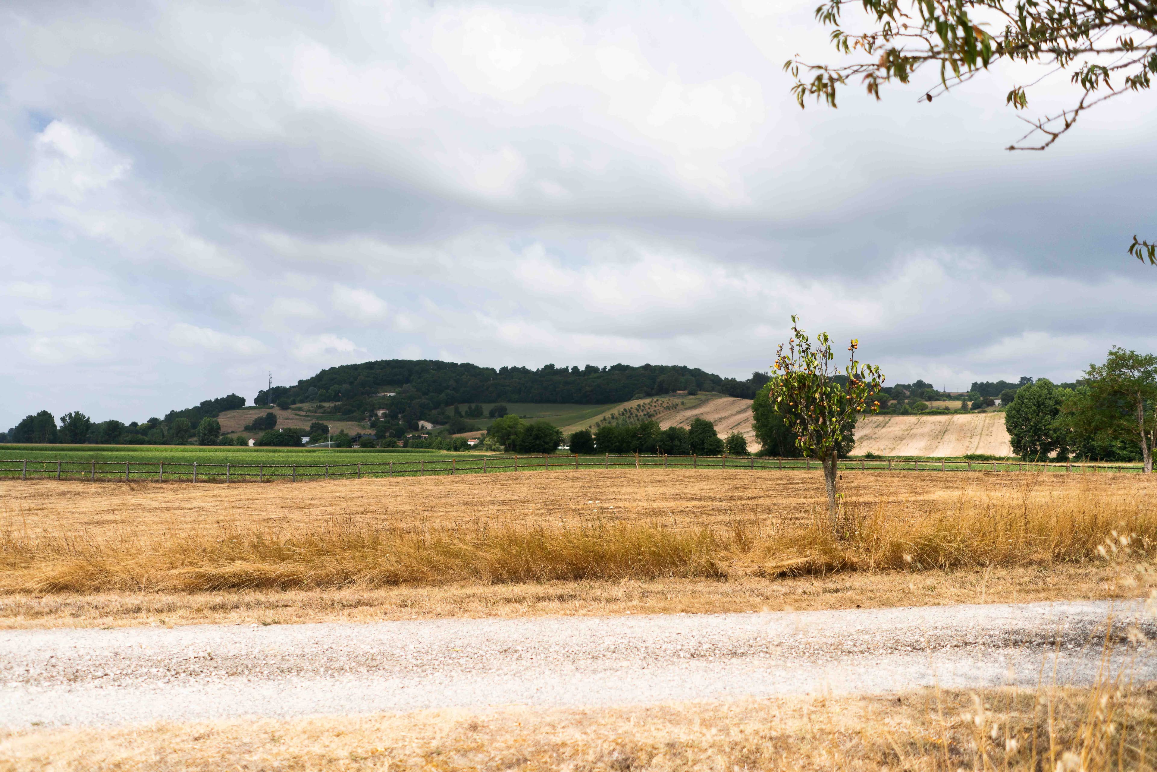 Gary & Micia wedding photo 38
