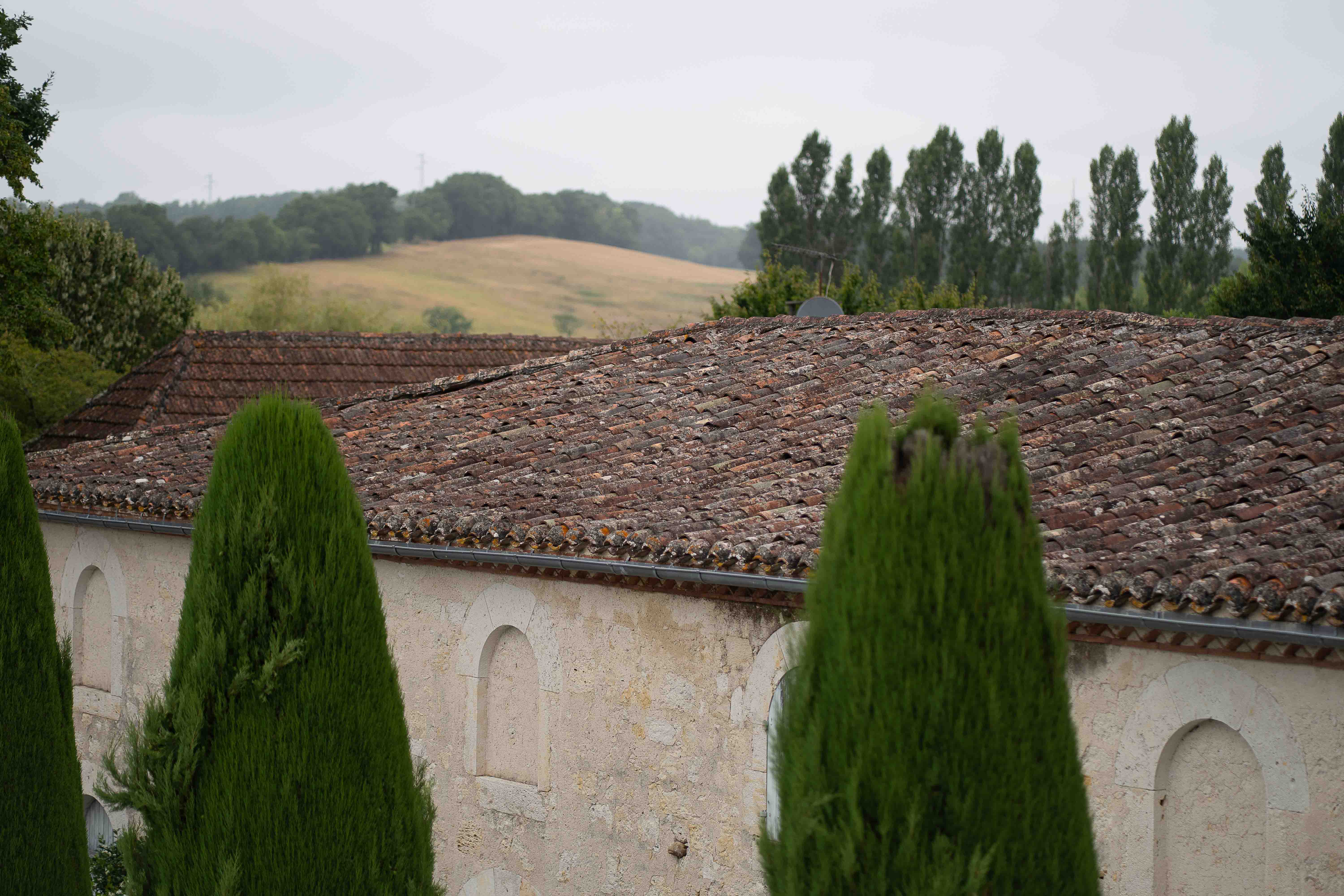 Gary & Micia wedding photo 48