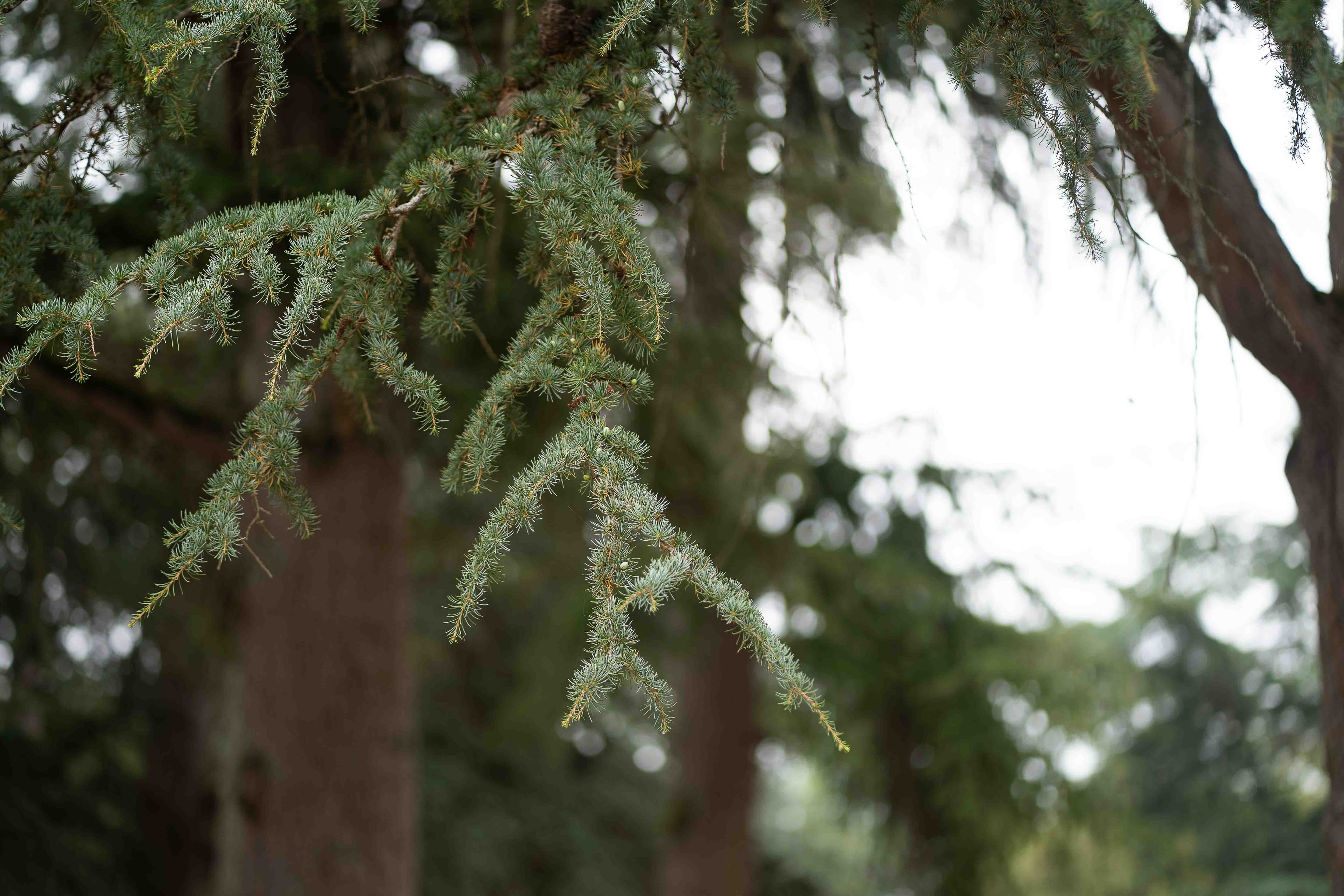 Gary & Micia wedding photo 53