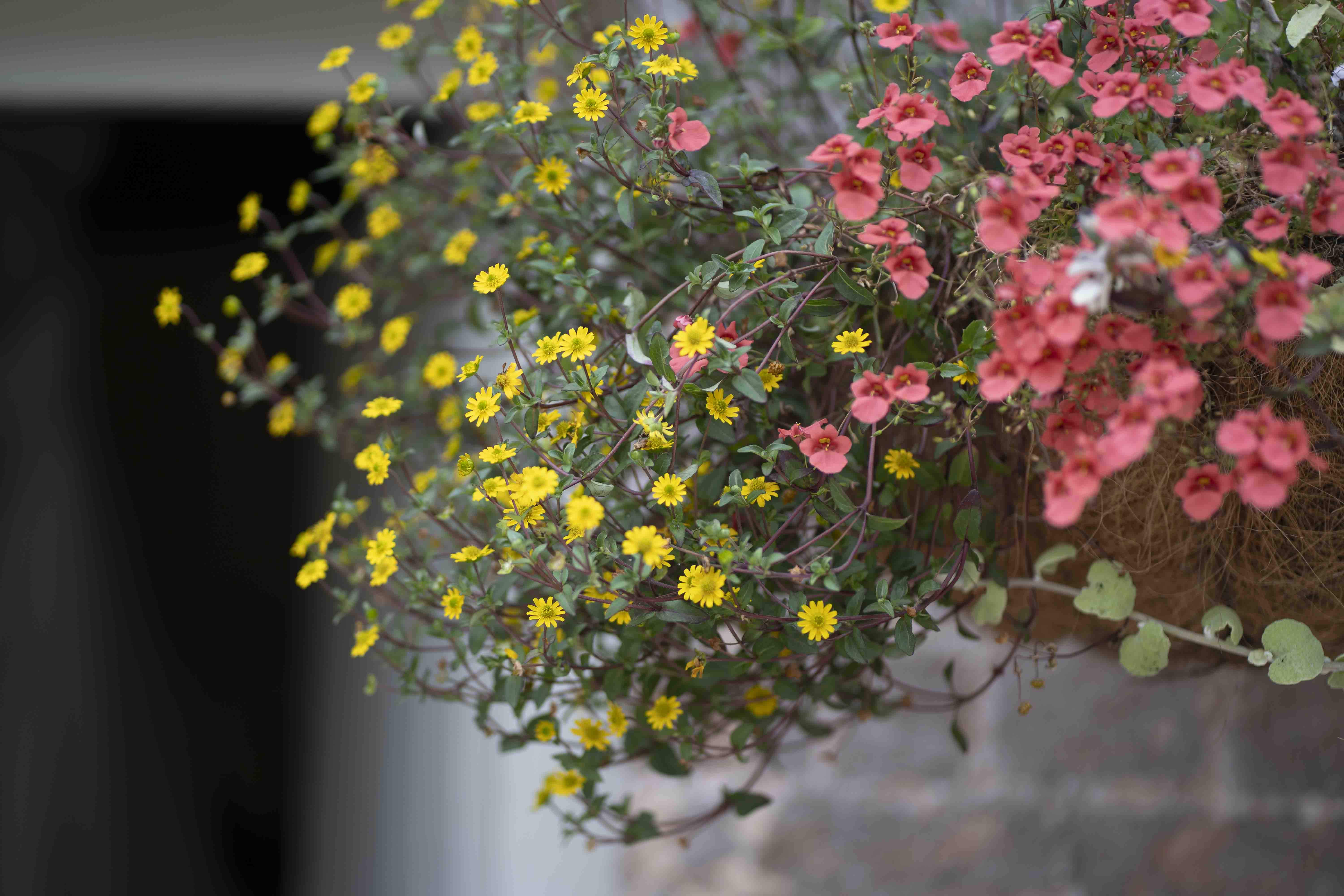 Kelly & Greg wedding photo 21