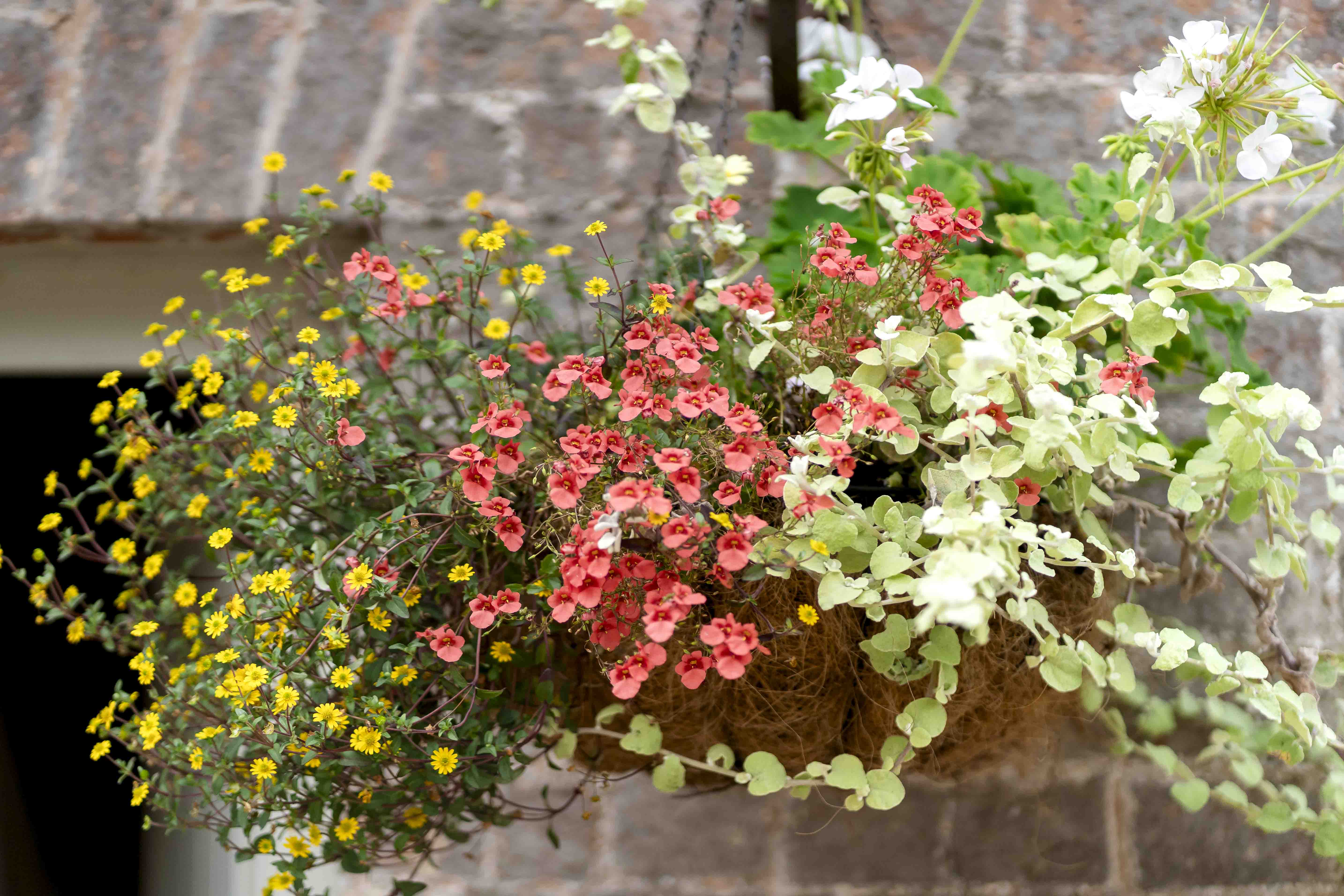 Kelly & Greg wedding photo 24